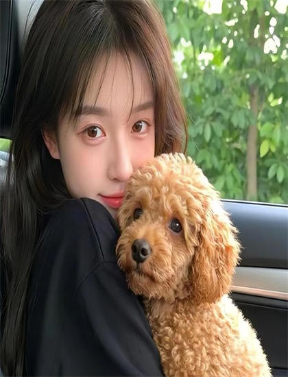 朋友的女朋友韩剧免费观看全集在线观看天才_中国好歌曲在线观看_城中之城140集免费观看完整版